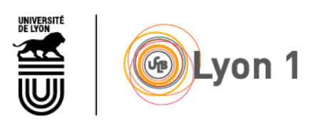 lyon